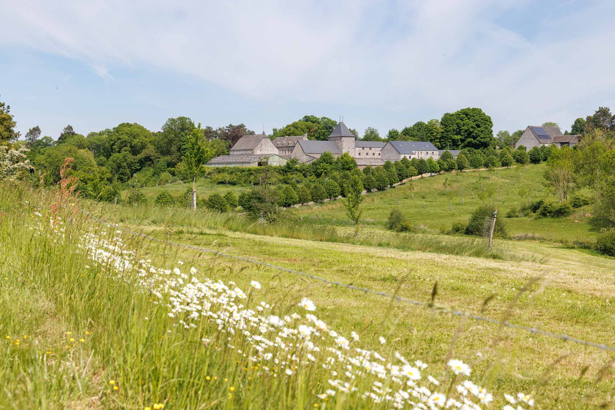 Ferme du Perron in Goesnes te midden van groene Condroz-weiden op een lentedag.