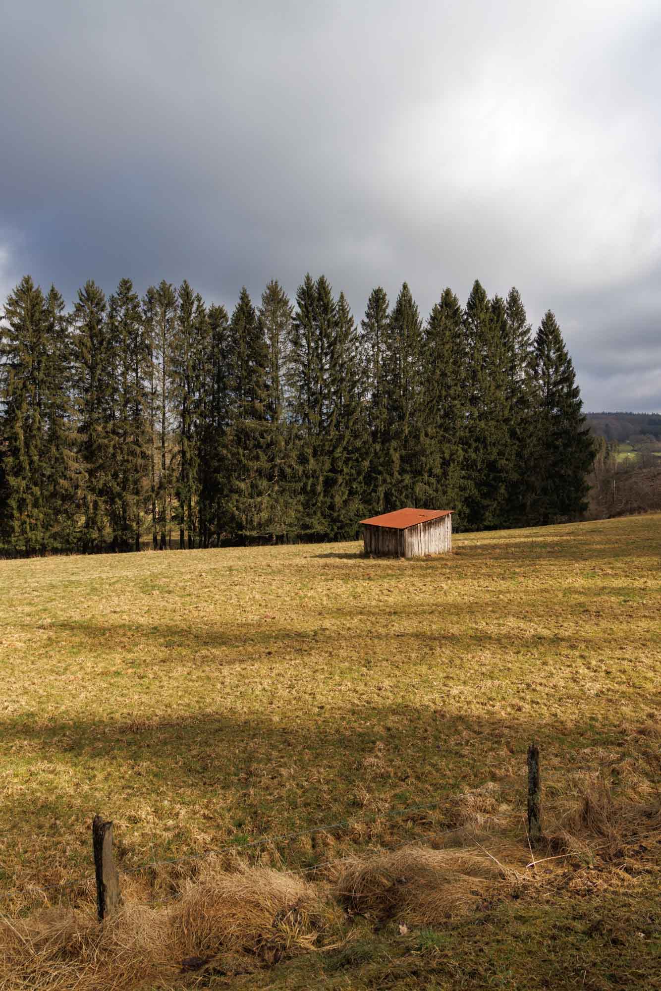 Prairie d’Anloy devant une rangée de sapins sous un ciel nuageux