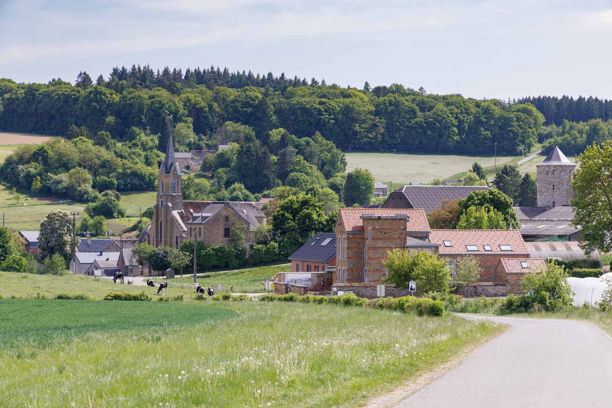 Village d’Ossogne entouré de prairies et de paysages agricoles en Condroz.