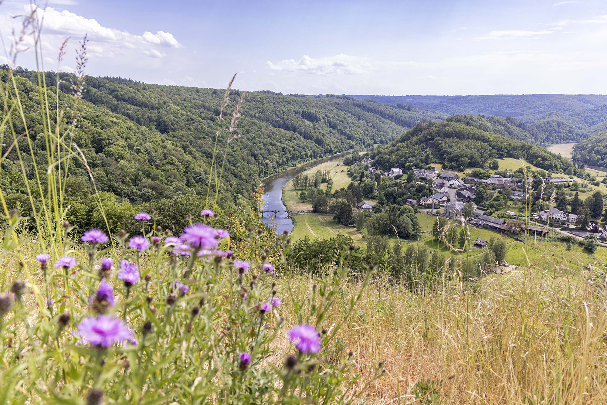 Point de vue de Frahan au printemps