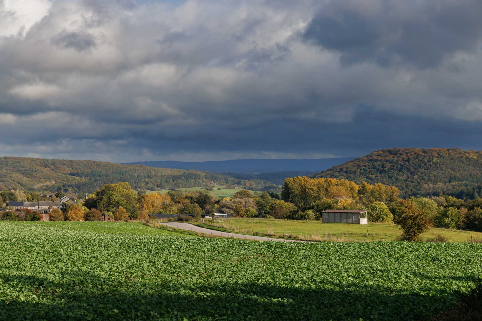 Campagnes autour de Ave-et-Auffe en automne