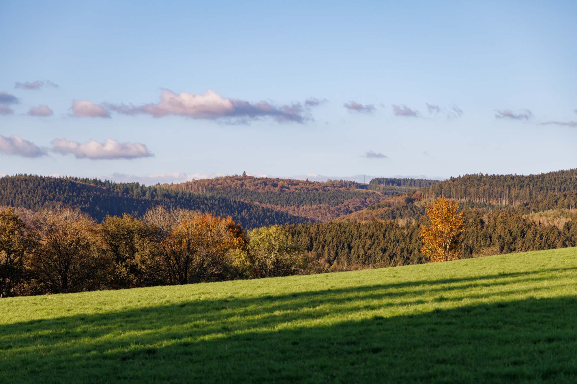 Couleurs d'automne dans les forêts autour de Bérismenil