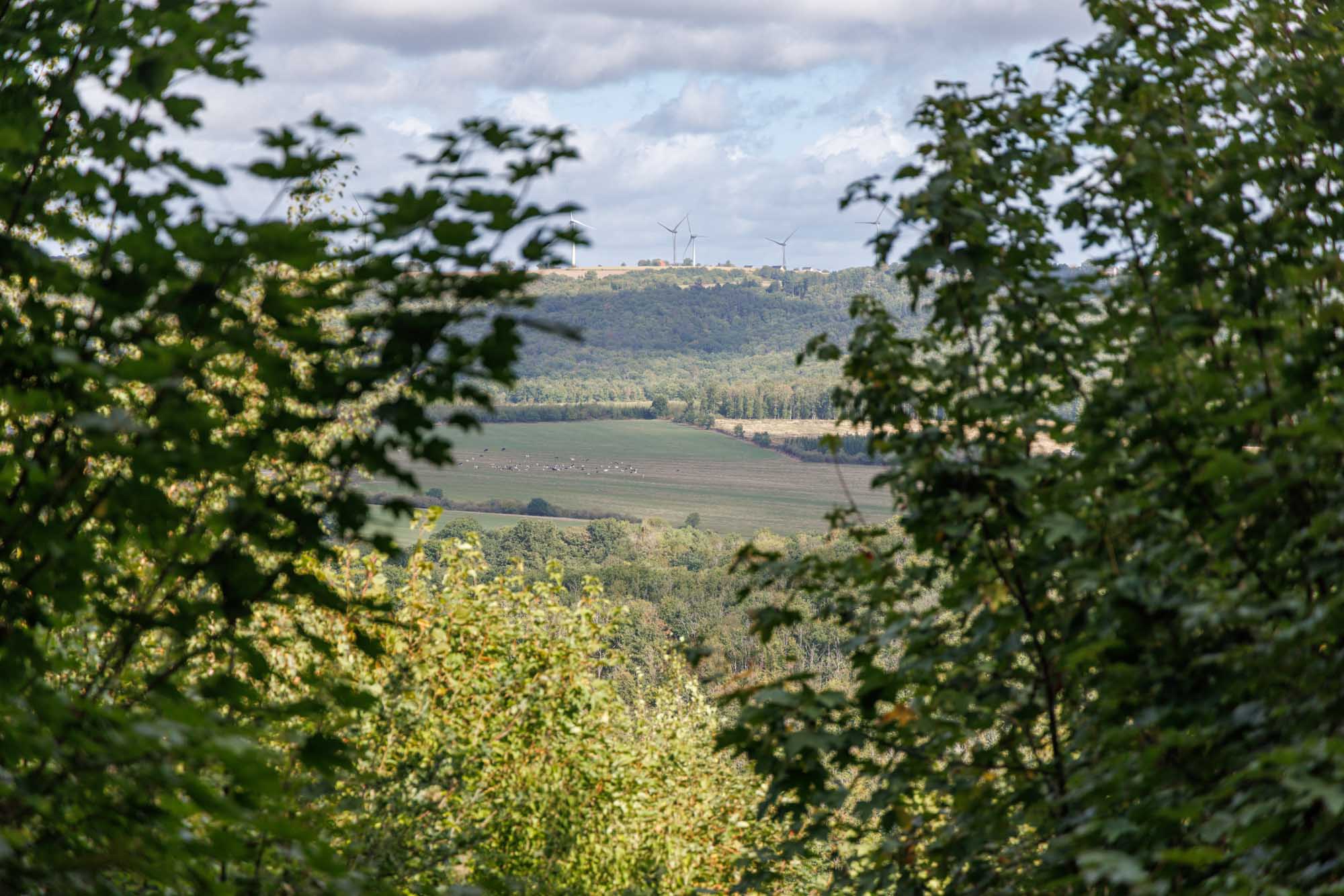 Baronville aperçu à travers le feuillage avec champs vallonnés et éoliennes au loin