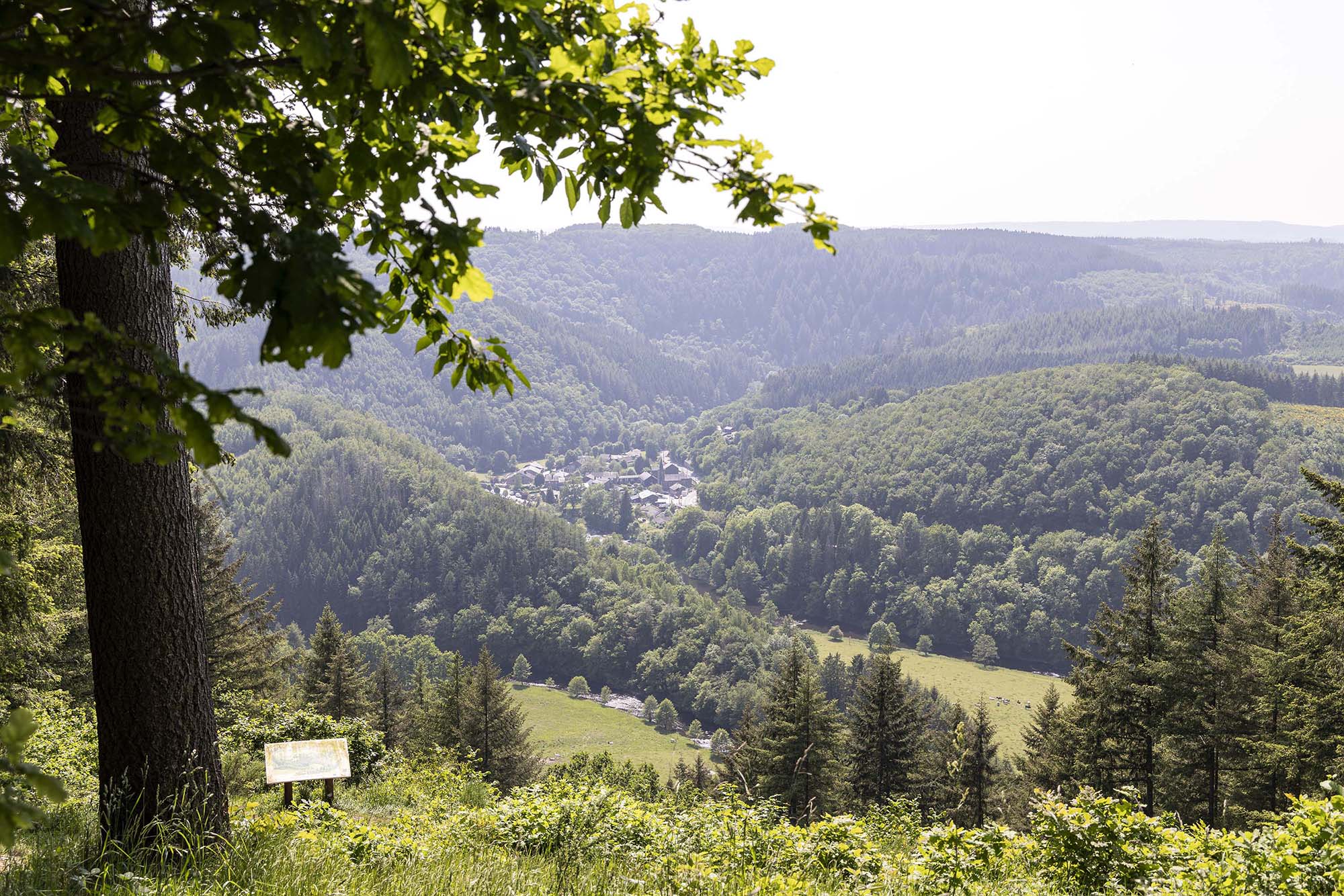 Vue depuis Les Crestelles sur une vallée boisée ardennaise et un village au loin en été.