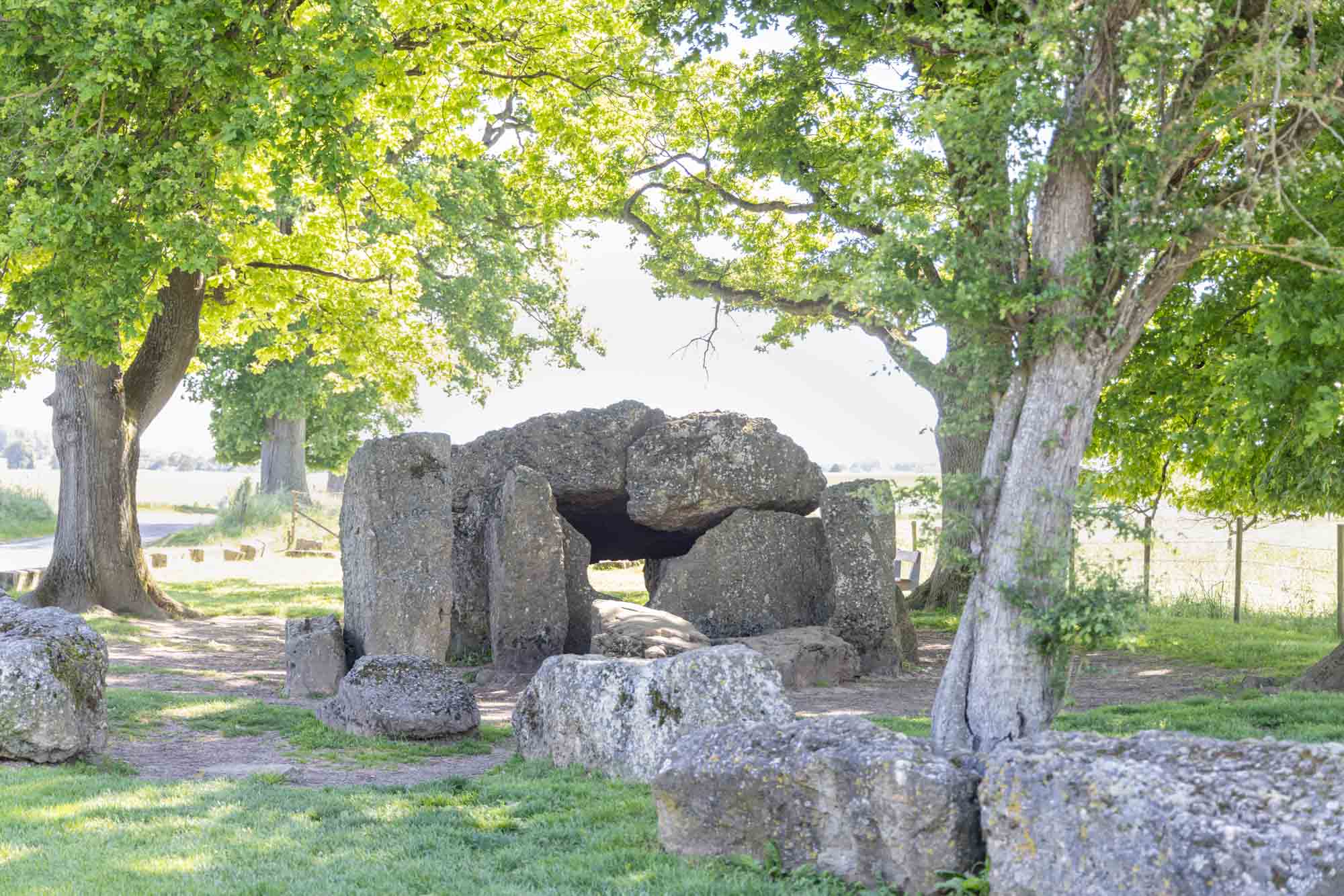 Dolmens de Wéris entourés d’arbres près de Barvaux-sur-Ourthe