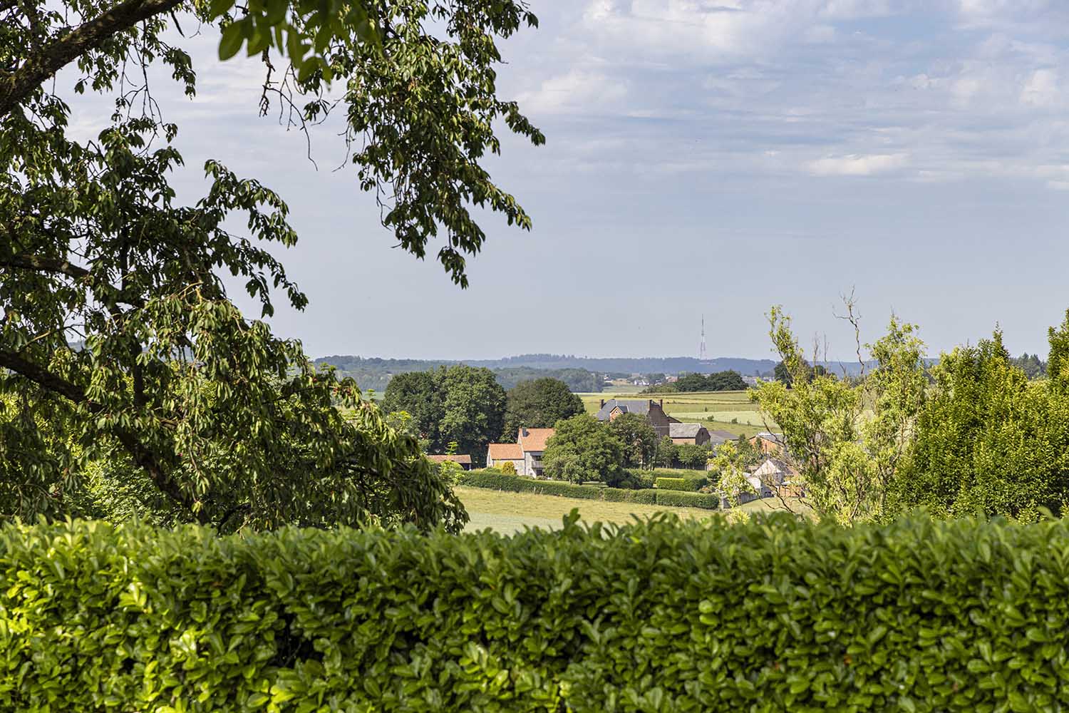 Landelijk landschap rond Anhée