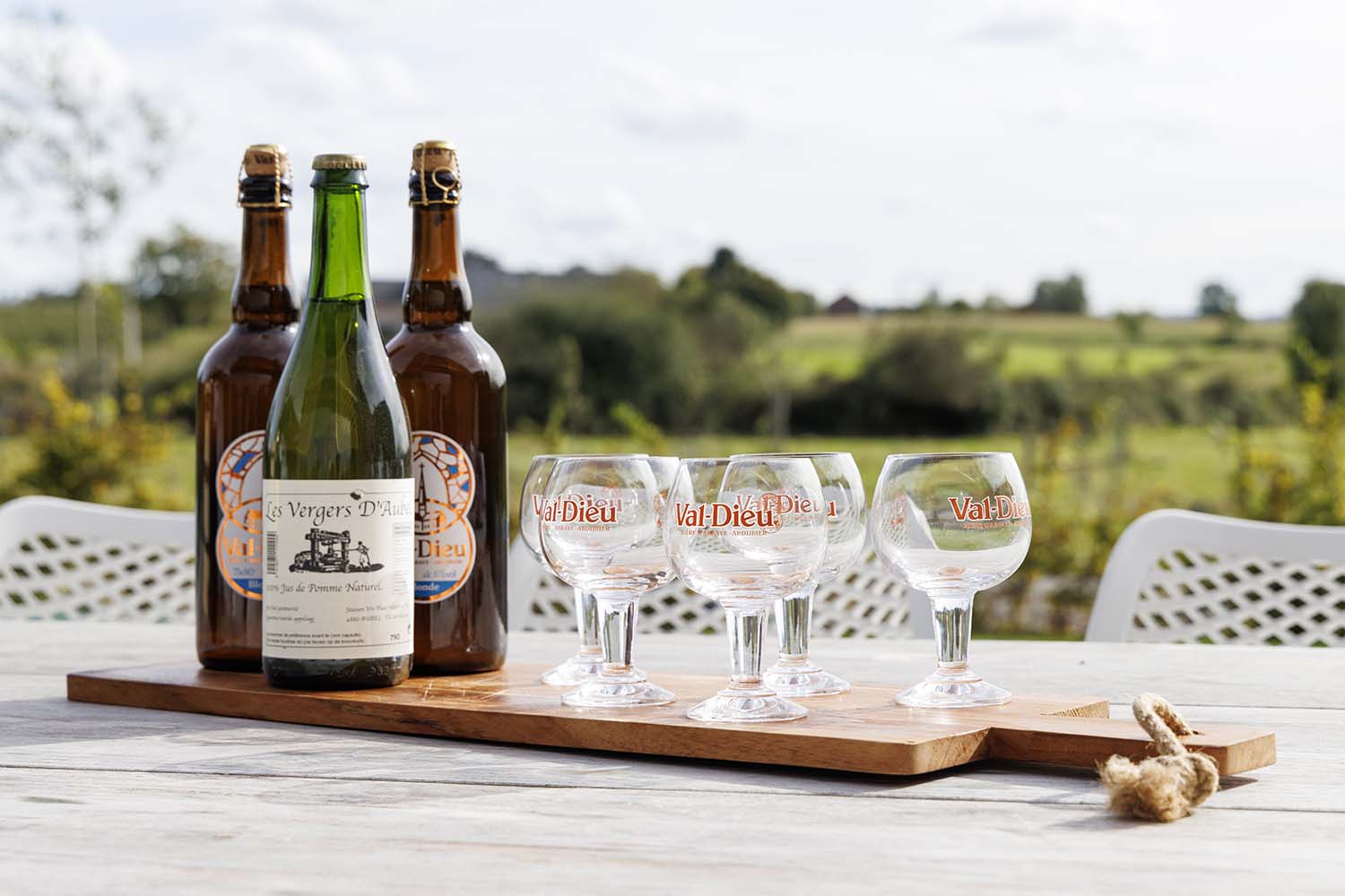 Dégustation de bières belges en terrasse