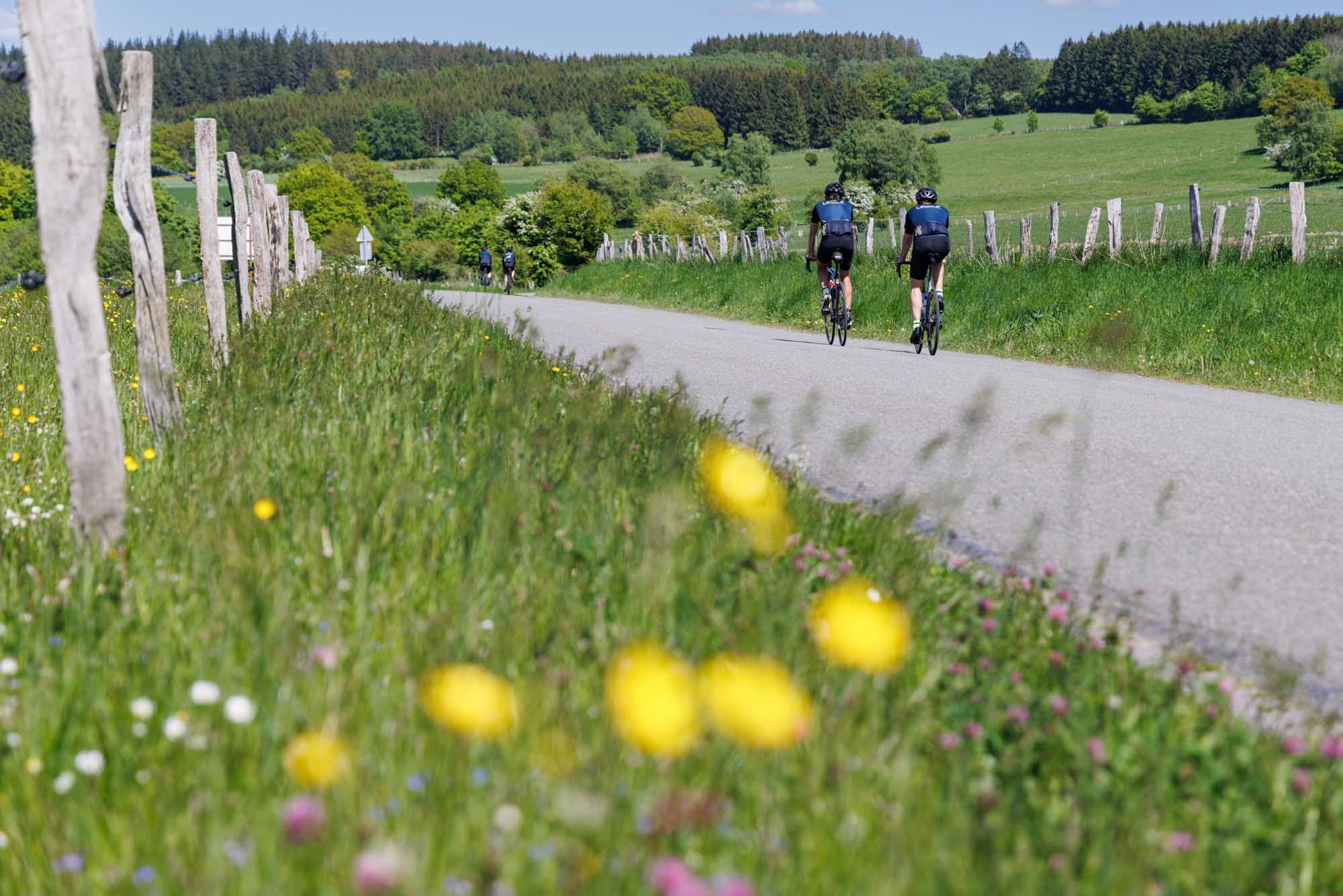 Fietsers op een landelijke weg tussen groene weiden in Lamorménil.