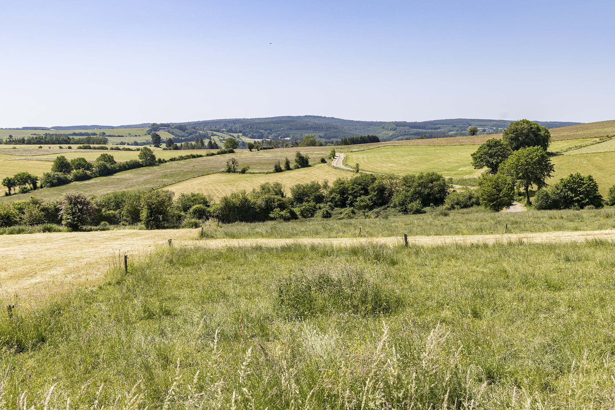 Campagne de Rendeux