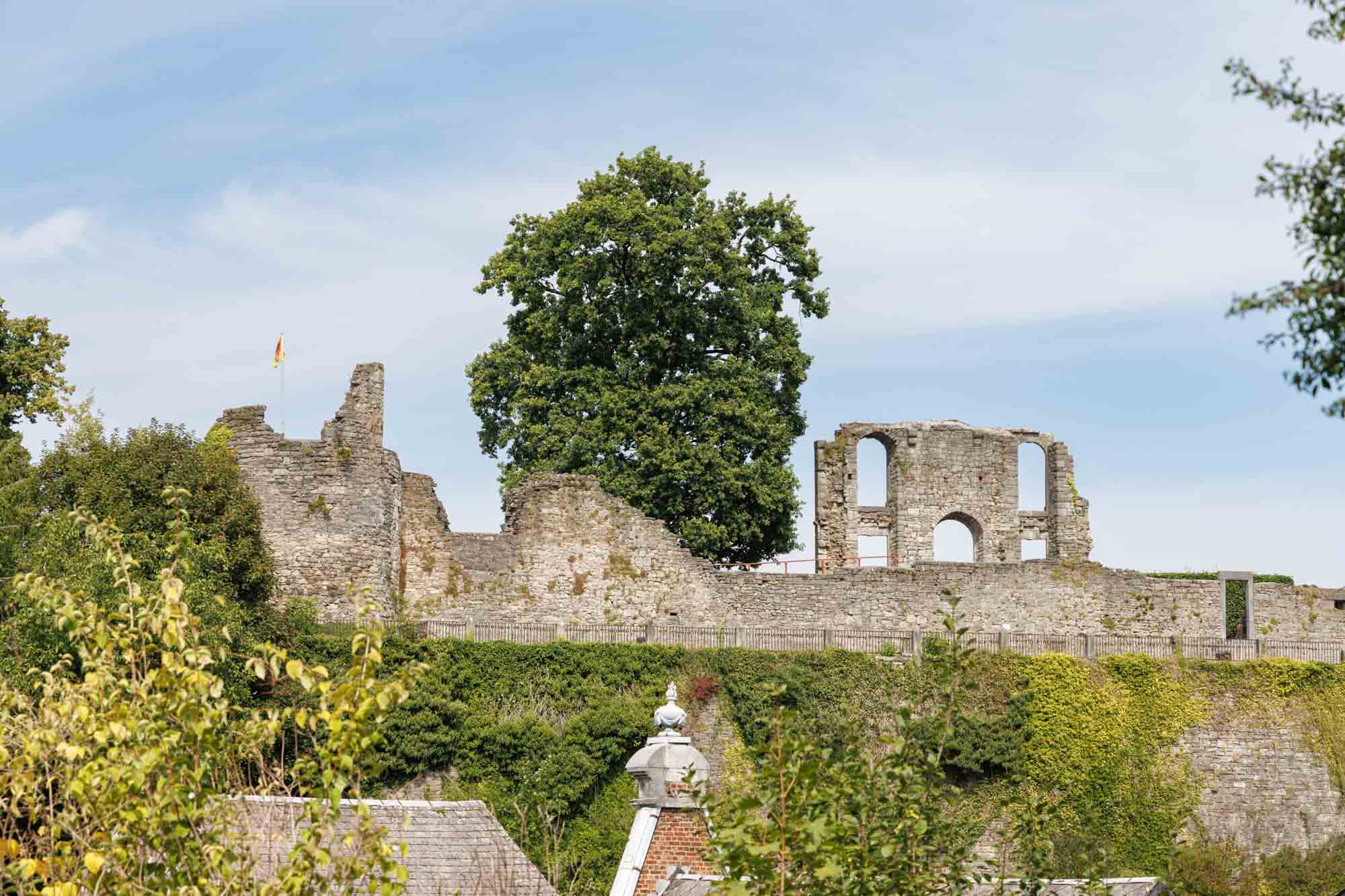 Ruines du château de Rochefort sur les hauteurs, vestiges en pierre entourés de verdure