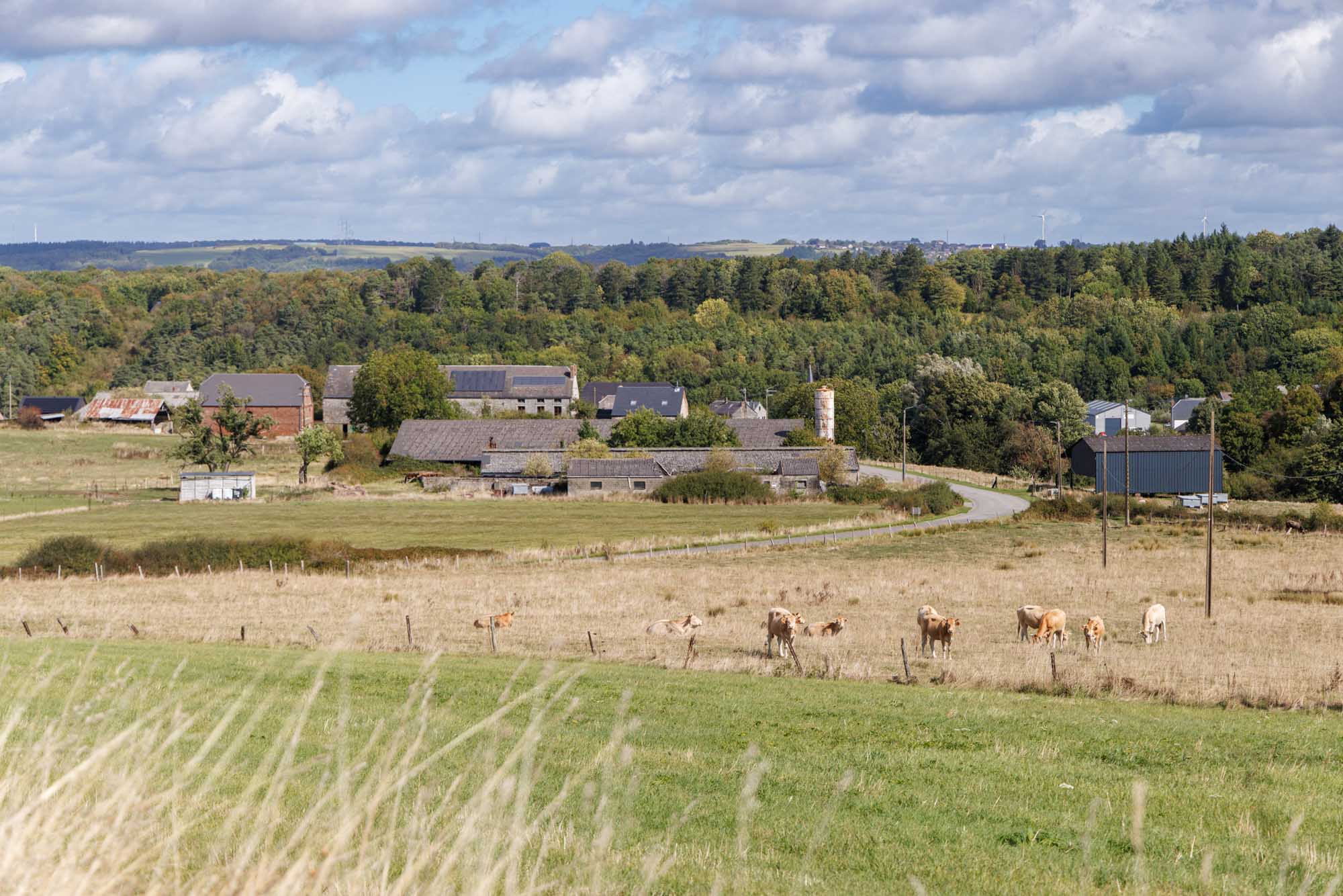 Dion avec fermes entourées de pâturages et collines boisées