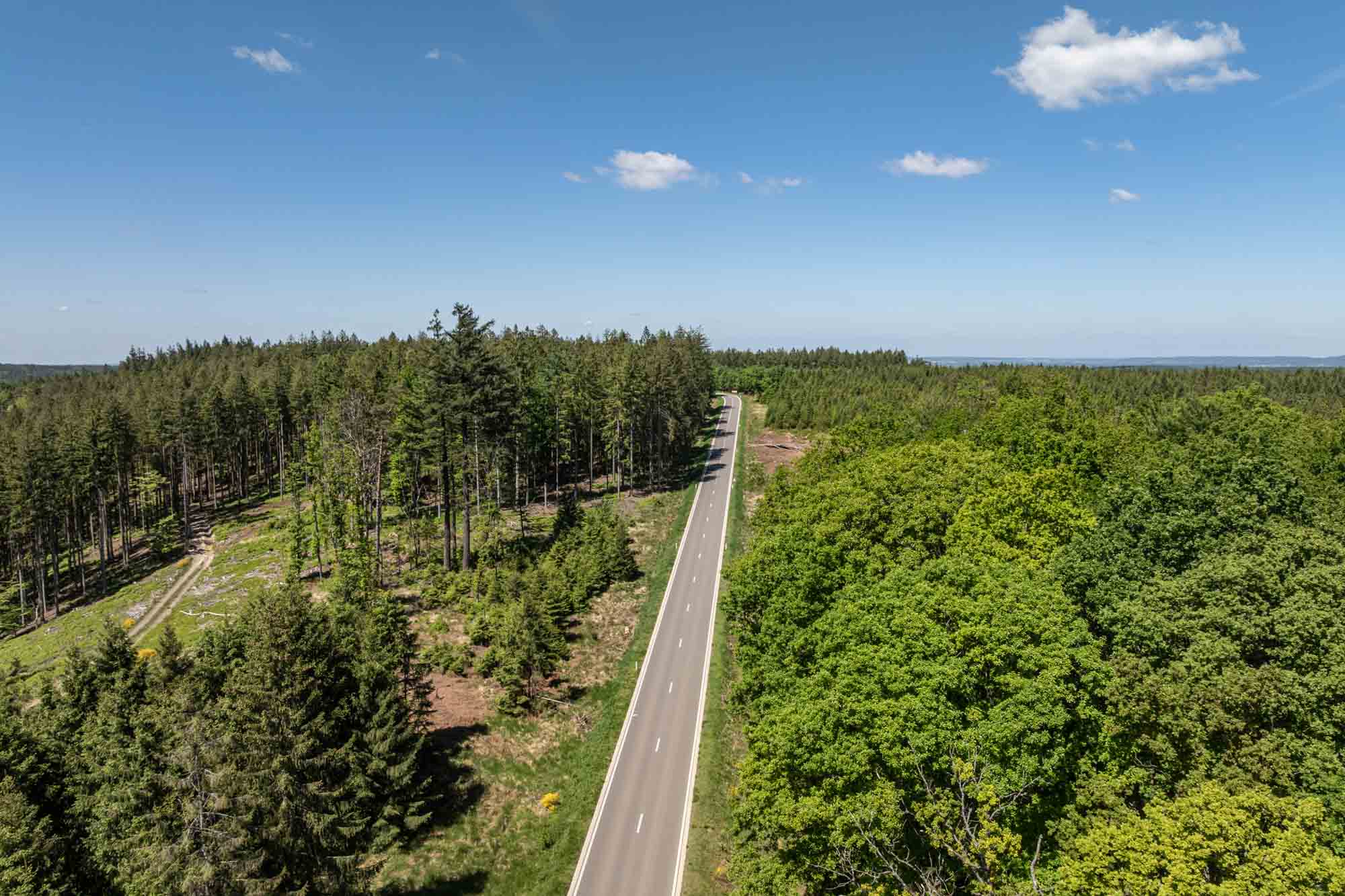 Luchtbeeld van de weg tussen Eupen en Ternell die door een dicht bos loopt bij helder weer.