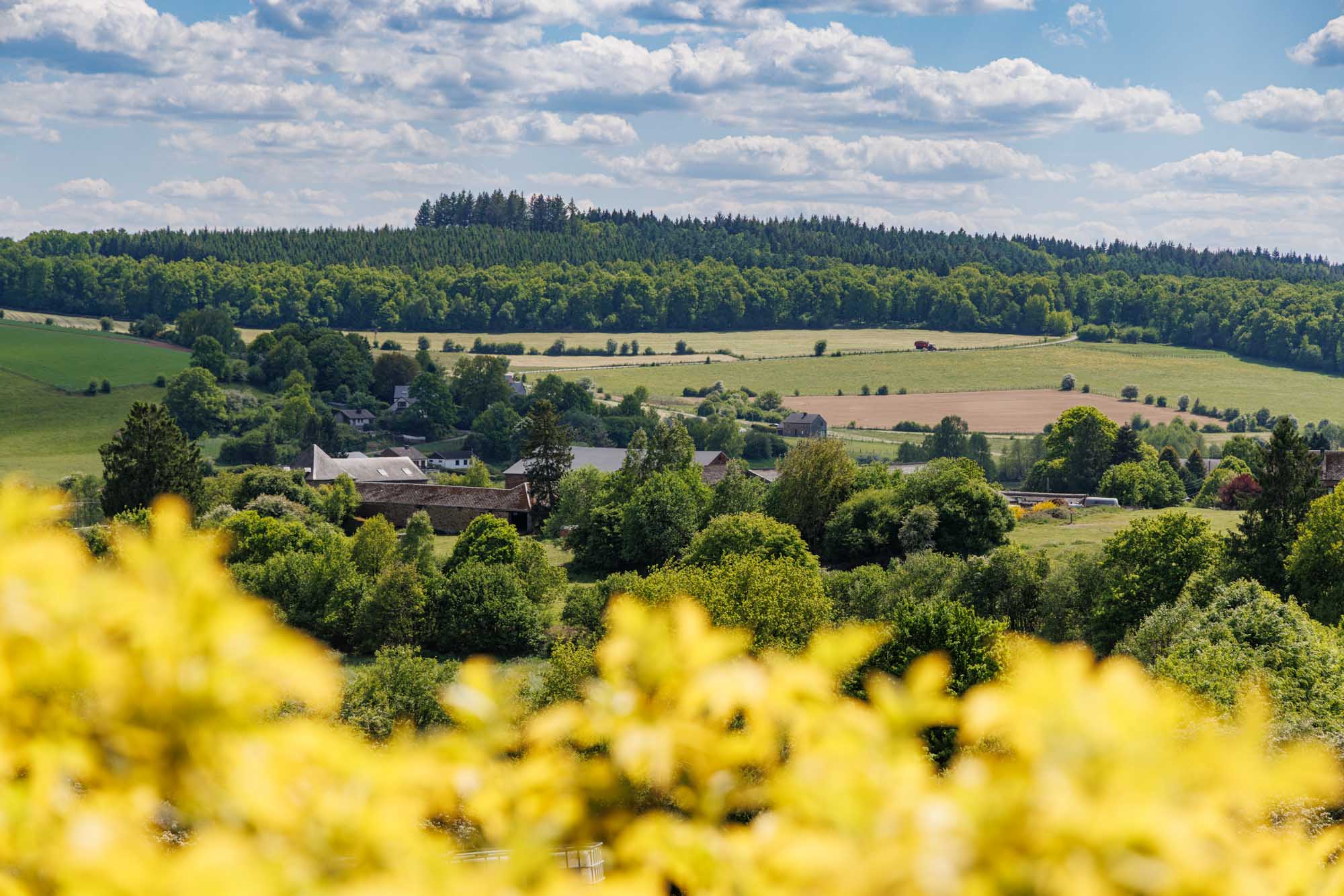 Paysage vallonné autour de Gembes sous un ciel d’été