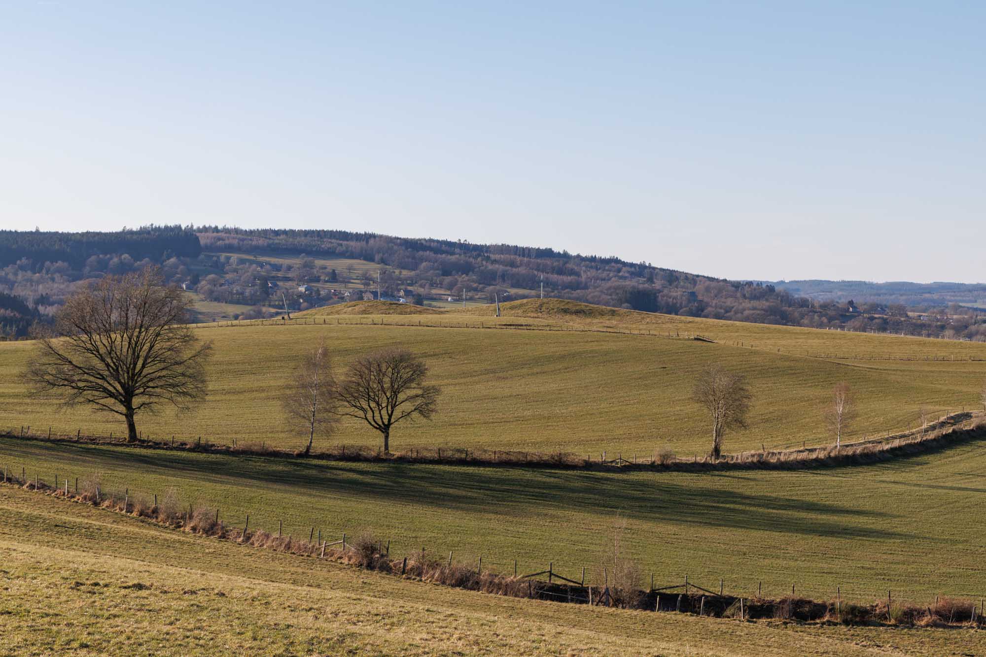 Skipiste van Monty op open heuvels met kale bomen onder heldere winterlucht.