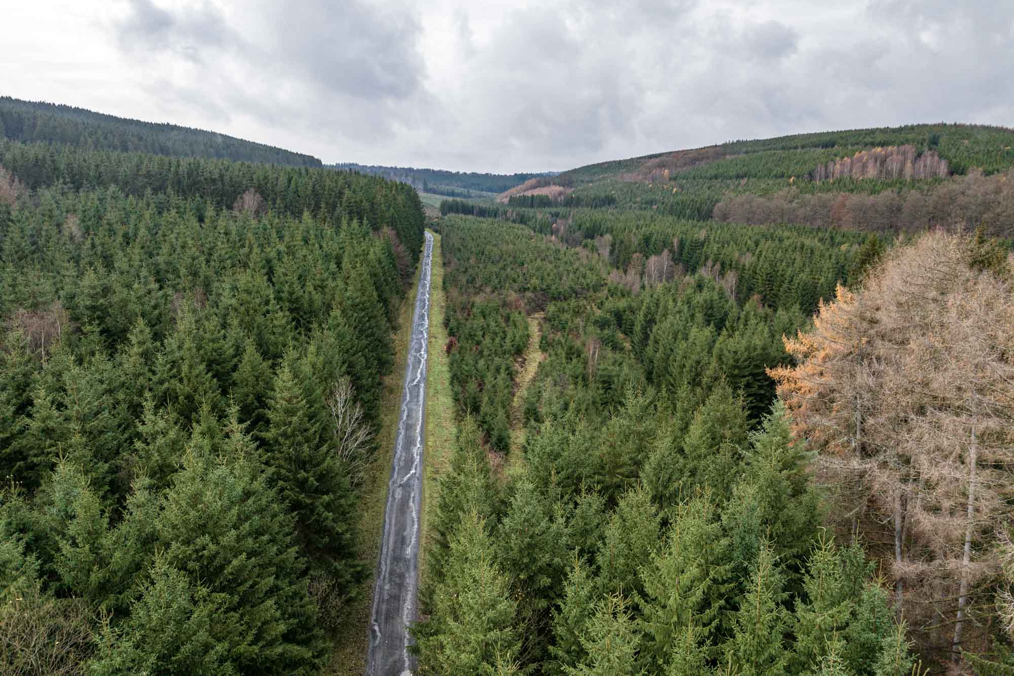 Luchtfoto van de bossen rond Laneuville-au-Bois